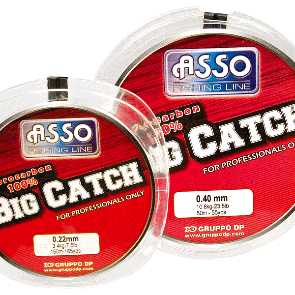 ASSO-BIG-CATCH.png