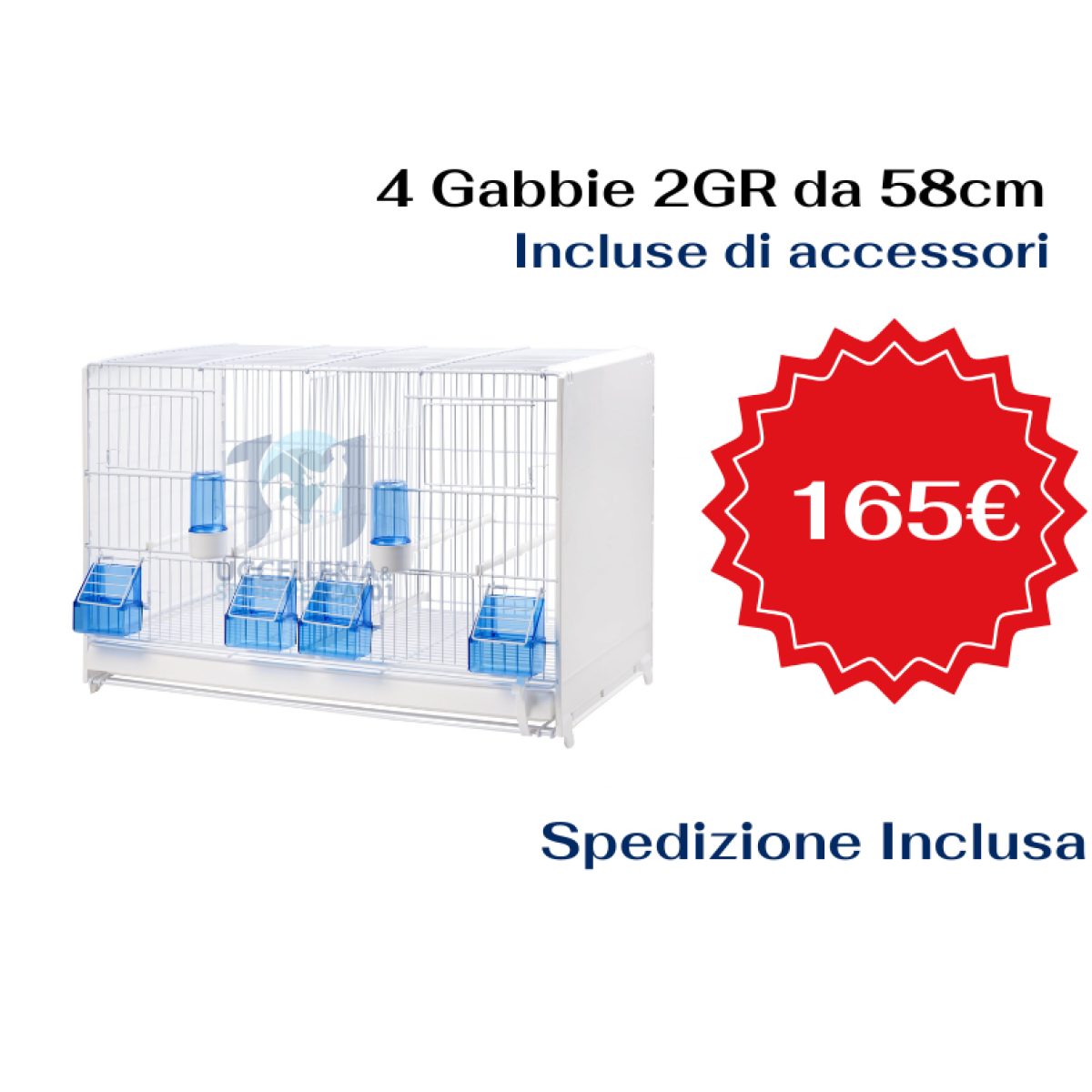 Verde Beni Immobili Contenuti Nuovi Servizi Professionali Post di Facebook (4)