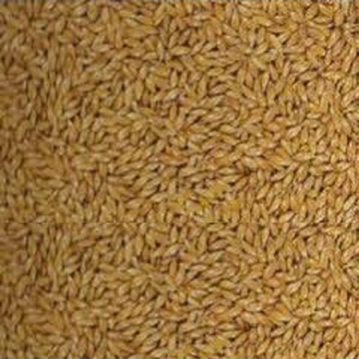 seme-di-scagliola-canary-seed-one-blue-1-kg.jpg